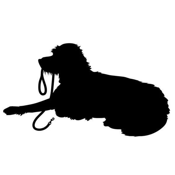 Silhouette pour chien Shaggy — Image vectorielle