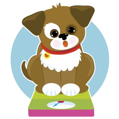 şişman köpek ölçek