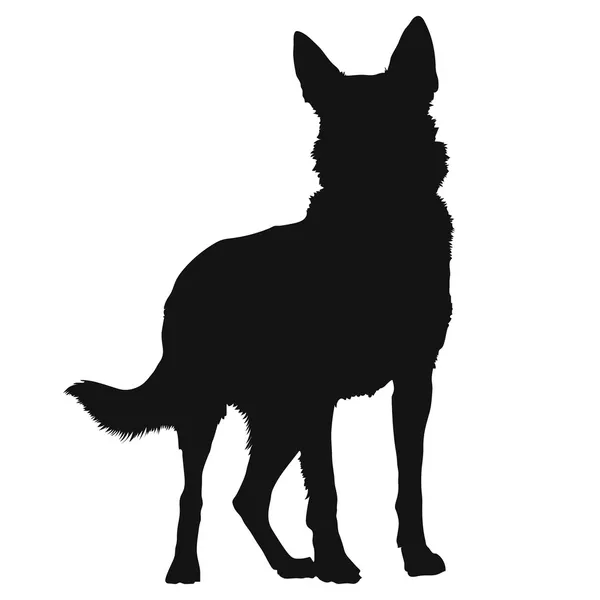 Duitse herder silhouet — Stockvector