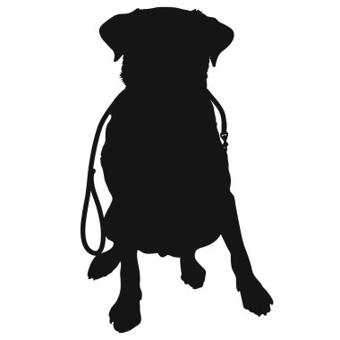 Download Labrador Retriever Free Vector Eps Cdr Ai Svg Vector Illustration Graphic Art