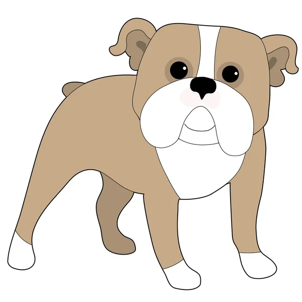 Bulldog inglés — Vector de stock