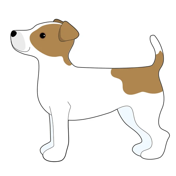 Jack russell terrier de — Vector de stock