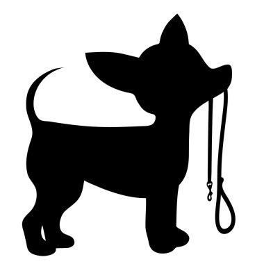 Chihuahua kira kontratı