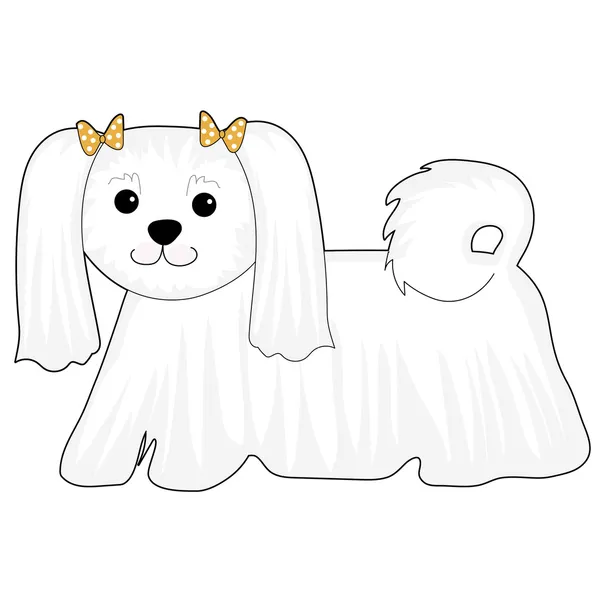 Maltese hond — Stockvector