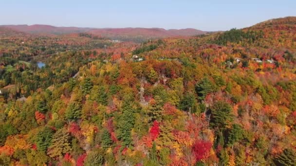 Vue Aérienne Par Drone Des Belles Couleurs Paysage Automnal Près — Video