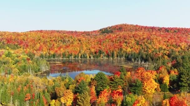 湖の周りの山の中でカラフルな秋の木の空中ビュー — ストック動画