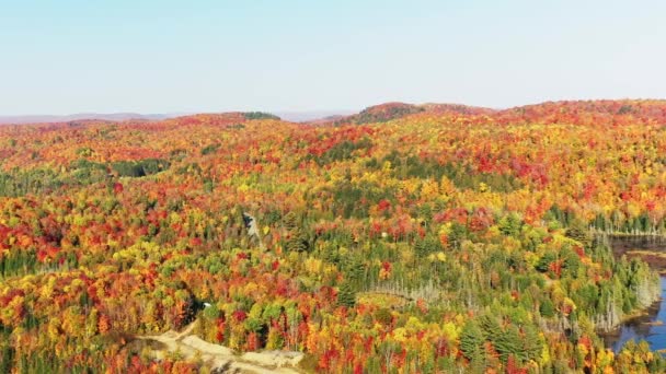 Turuncu Kırmızı Sarı Yeşil Renkli Sonbahar Ağaçlarıyla Dağların Drone Görüntüsü — Stok video