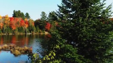 Drone görünümü bir ağacın arkasından düşüşün ve gölün renklerini gösteriyor