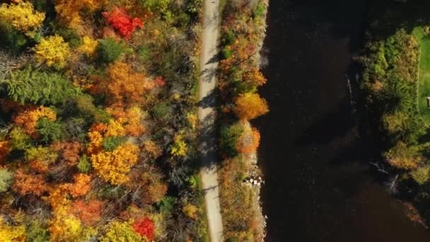 Vue Aérienne Filmant Directement Vers Bas Descendant Dessus Piste Cyclable — Video