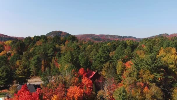 Vue Sur Drone Paysage Automne Dans Les Montagnes Laurentiennes Avec — Video