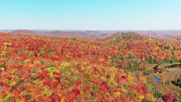 Dağları Gösteren Sonbaharda Renkli Ağaçların Arasından Geçen Hatlarını Gösteren Hava — Stok video