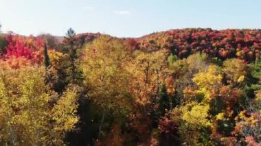 Sonbahar ağaçlarının arkasından yükselen İHA göl ve ormanlarla manzarayı gözler önüne seriyor