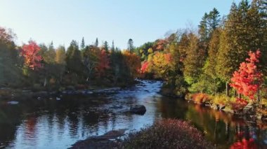 Sonbaharın renkli ağaçlarıyla çevrili akıntılarla küçük nehre doğru yavaşça uçuyor.