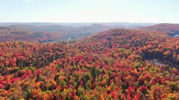Sonbaharın Renkli Dağlarının Üzerindeki Hava Manzarası Yavaşça Aşağıya Iniyor Manzaradaki — Stok video