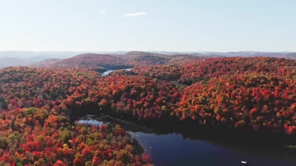 秋のカラフルな山々の上の空の景色は右から左に移動し 風景の中に湖や霧を示しています — ストック動画