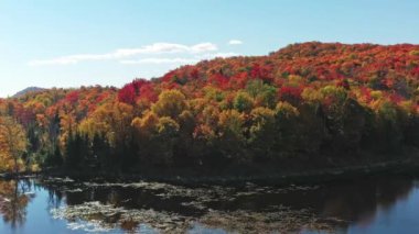 İnsansız hava aracı, Laurentians 'taki Mont-Loup-Garou parkının rengarenk çevresini ortaya çıkarmak için soldan sağa doğru dönüyor.