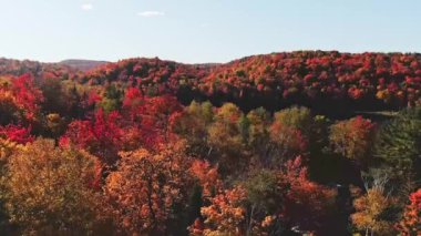Sonbahar renklerinin üzerinde yükselen insansız hava aracı görüntüsü açık mavi bir gökyüzü ve göl gibi bir aynayla