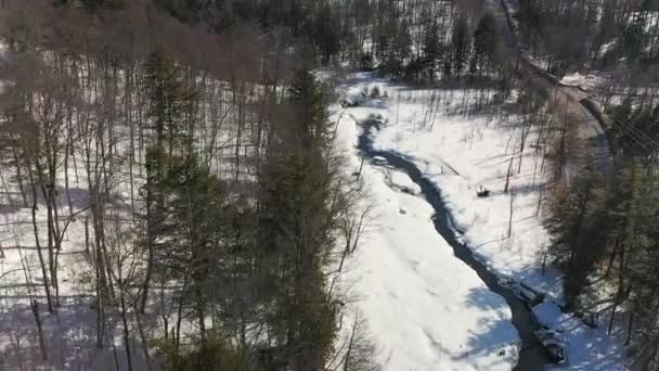 国の道路や木々や山と春に流れる小さなストリーム上で高い空中ドローンビュー — ストック動画