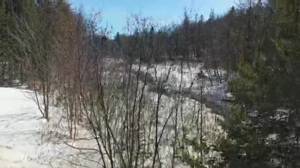 ケベック州のSte Anne Des Lacsの国で春に流れる小さな流れを示す空中ドローンの眺め — ストック動画
