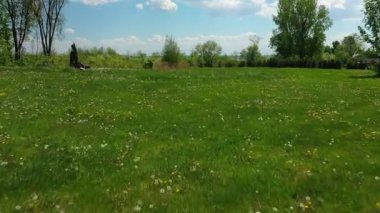 Kırsalda bir yaz gününde, mavi gökyüzünde, sarı yabani çiçeklerle, beyaz bulutlar üzerinde alçaktan uçuyor.