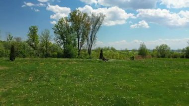 Gökyüzü ve beyaz bulutları gösteren, ülkenin ağaçlarının üzerinde ilerleyen ve yükselen bir hava videosu..