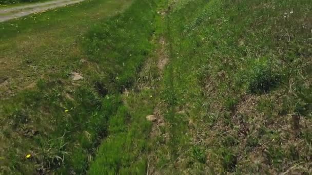 Bir Hendeğin Hemen Yukarısında Yeşil Çimlerle Kaplı Bir Dron Dibinde — Stok video