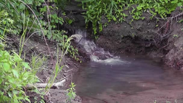 Pequena Cachoeira Que Flui Pequeno Fluxo Primavera — Vídeo de Stock