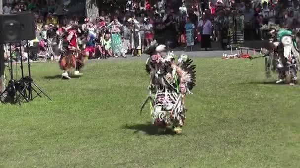 Traditionella Regaliedansare Vid Infödd Amerikansk Danstävling Pow Wow Kahnawake Mohawk — Stockvideo