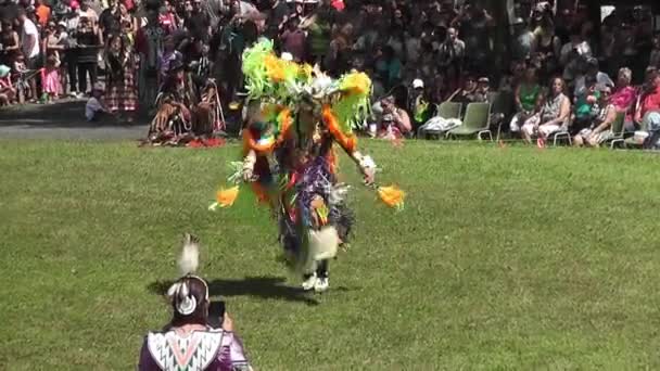 Dansare Med Regalier Vid Infödd Amerikansk Danstävling Pow Wow Kahnawake — Stockvideo