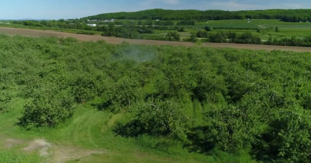 Widok Lotu Ptaka Sadzawkę Leczoną Insektycydami Celu Ochrony Drzew Przed — Wideo stockowe