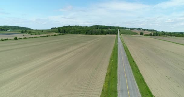 Images Aériennes Drones Une Longue Route Droite Dans Pays Avec — Video