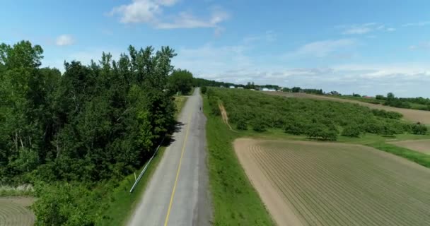 Vue Drone Éloignant Colline Révélant Paysage Avec Grands Arbres Champ — Video