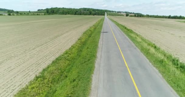 Aerial View Drone Long Road Middle Empty Fields Countryside Backing — Stockvideo