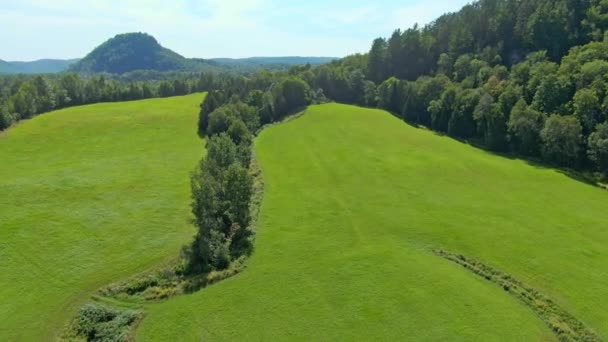 Luftaufnahme Hochwinkelaufnahme Mit Einer Drohne Rückwärts Fliegend Die Umliegende Landschaft — Stockvideo