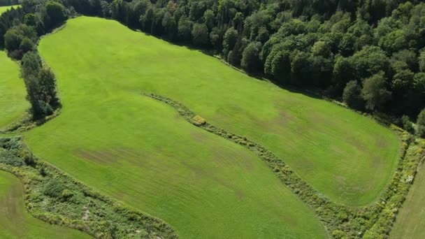 Wysoki Kąt Widzenia Dronem Przelatujące Nad Polem Odkrywając Krajobraz Kraju — Wideo stockowe