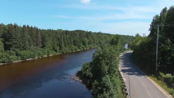 Levantándose Sobre Los Árboles Junto Río Con Dron Justo Lado — Vídeos de Stock