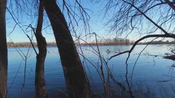 View River Blue Sky Reflecting Water — Vídeo de Stock