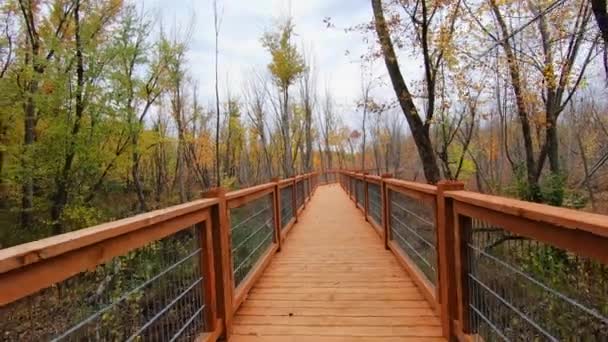 Прогулянка Підвищеній Доріжці Лісистій Місцевості Восени Показує Барвистий Пейзаж — стокове відео