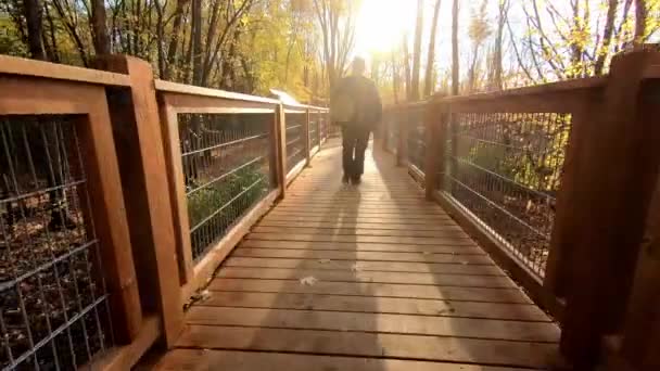 Чоловік Ззаду Ходить Піднесеному Дерев Яному Шляху Біля Болотистого Лісу — стокове відео