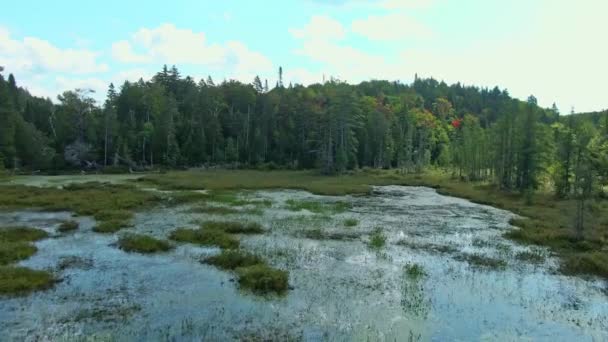 Flying Swamp Low Angle Rising Slowly Revealing Beautiful Country Landscape — Vídeo de Stock