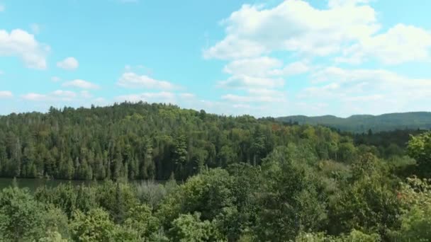 Stigande Upp Bakom Träden Laurentians Avslöjande Sjön Och Den Molniga — Stockvideo