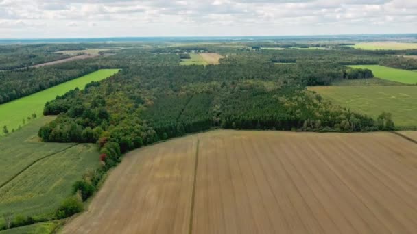 Vuelo Con Drones Muy Alto Aire Sobre Campo Agrícola Campo — Vídeos de Stock