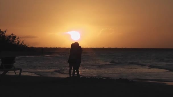 Silueta Unui Cuplu Sărutându Plajă Apus Aur Fundal — Videoclip de stoc
