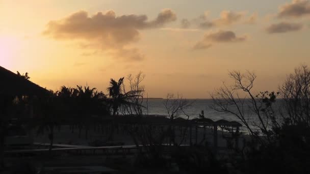 Piękny Złoty Zachód Słońca Karaibach Oceanem Palmami Machającymi Względu Lekki — Wideo stockowe