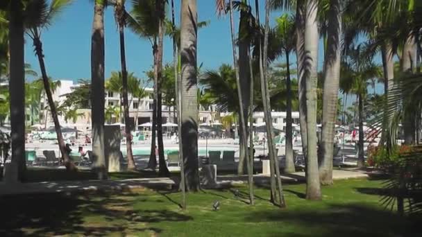 Landschaft Eines Resorts Der Karibik Mit Blick Auf Den Pool — Stockvideo