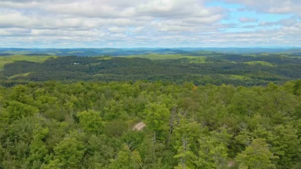 時計塔の人々に焦点を当てて降りてくる曇りの日に森の上の空中ドローンビュー — ストック動画