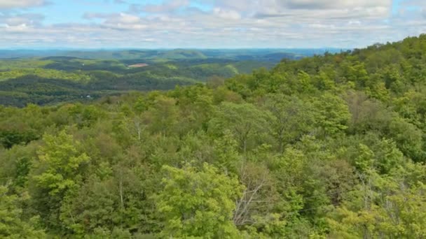 Wznoszące Się Zza Drzew Brukujące Powoli Lewo Ukazujące Panoramę Parku — Wideo stockowe