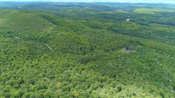 Panning High Forest Park Des Montagnes Noires Ouataouais — Vídeo de Stock