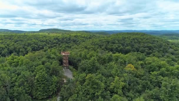 OutaouaisのMontagnes Noires公園の森の上の高い上昇 — ストック動画