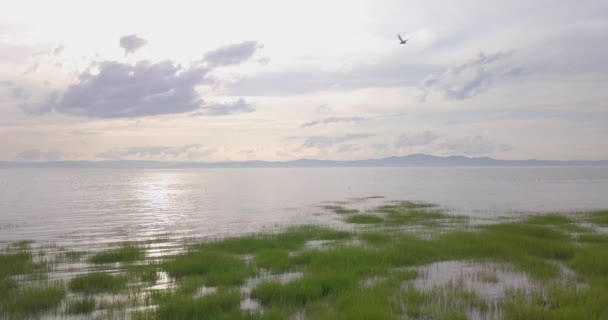 Quiet Day Lawrence River Pocatiere Quebec — Stockvideo